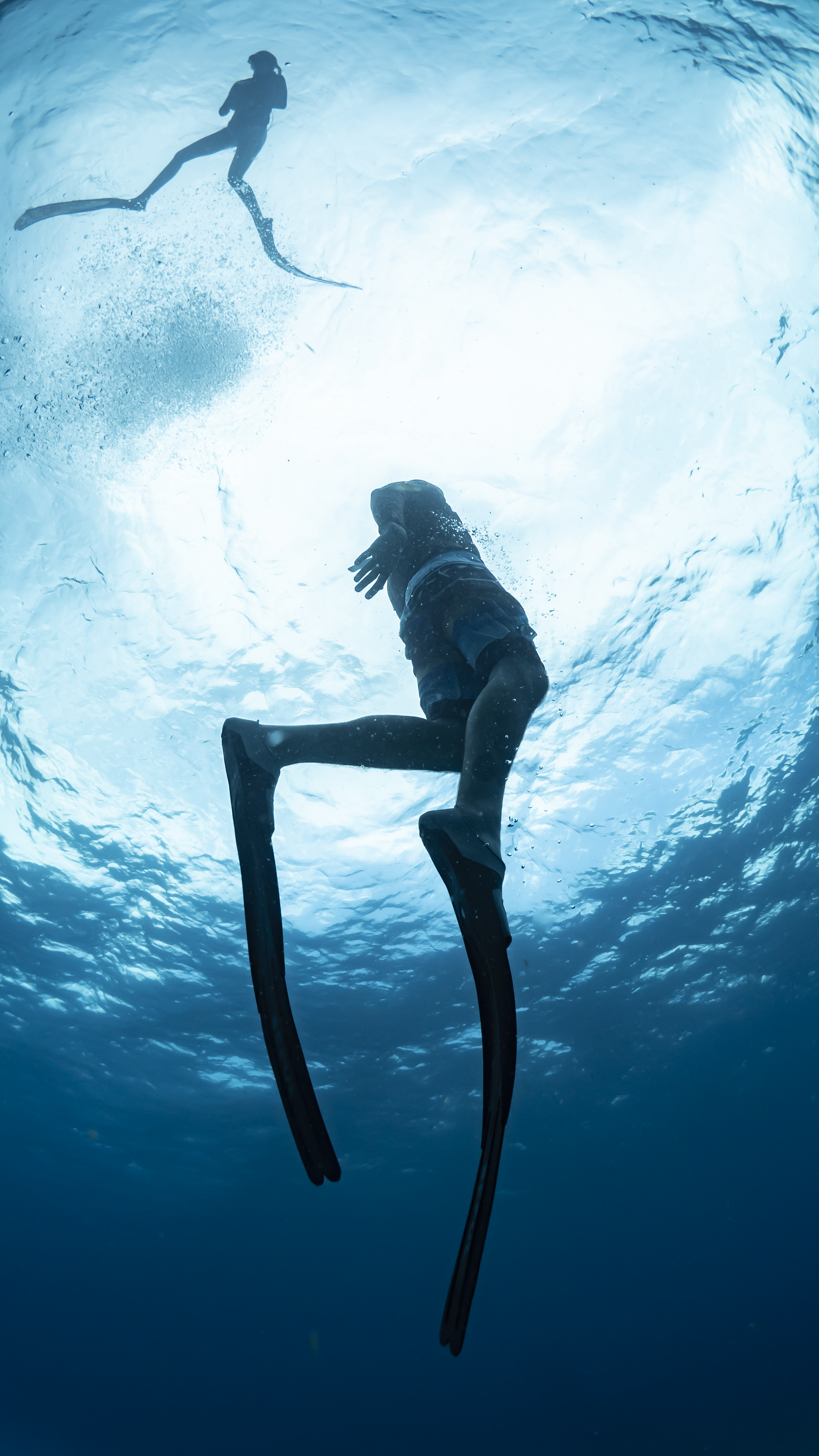 Freediver underwater